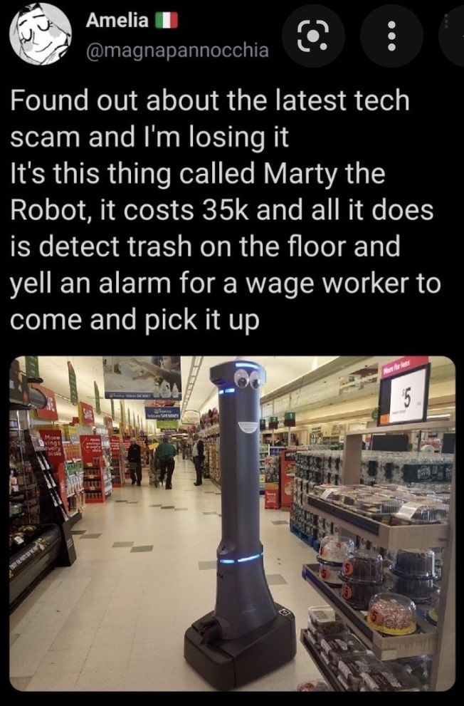 Someone complaining about a 35k pillar looking robot with googly eyes that detects trash on the floor of supermarkets and alerts a worker to pick it up.