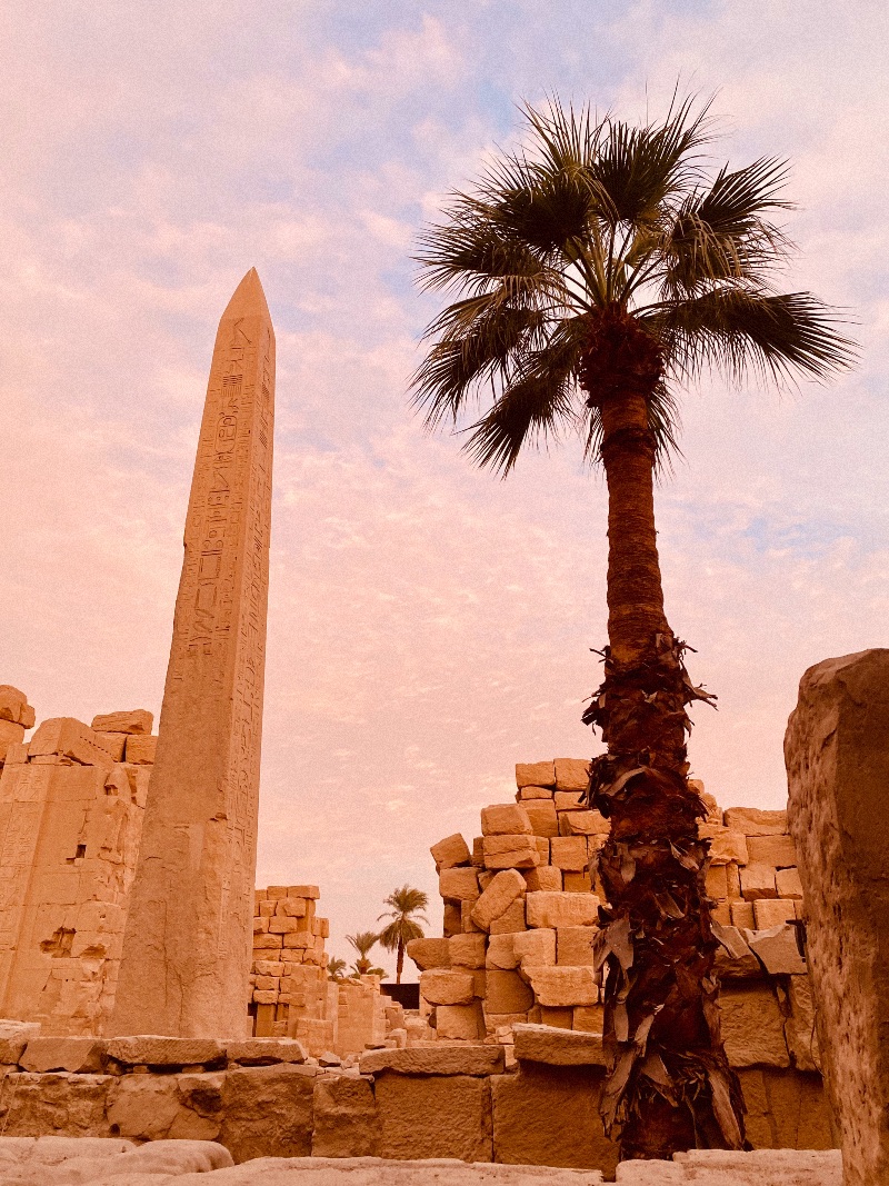 A palm tree and an egyptian obelisc in front of a blue and pink sky.