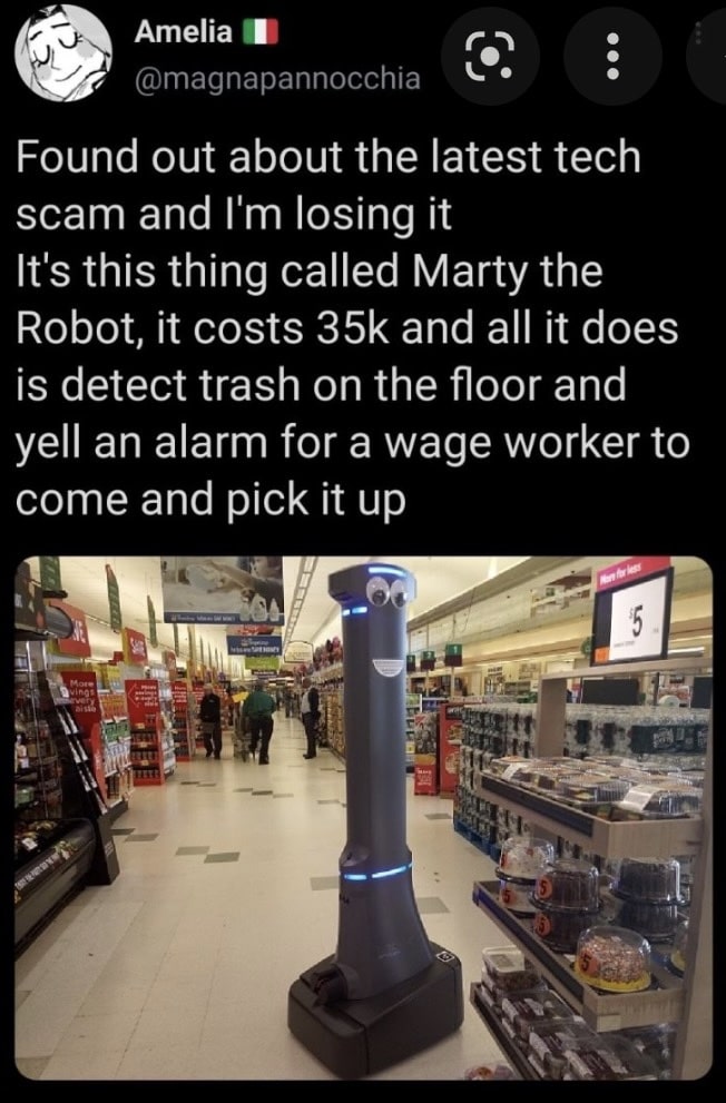 Someone complaining about a 35k pillar looking robot with googly eyes that detects trash on the floor of supermarkets and alerts a worker to pick it up.